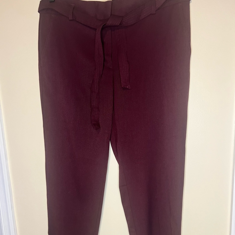 Beautiful cranberry colored ankle pants